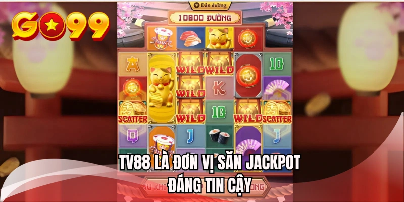 TV88 là đơn vị săn jackpot đáng tin cậy